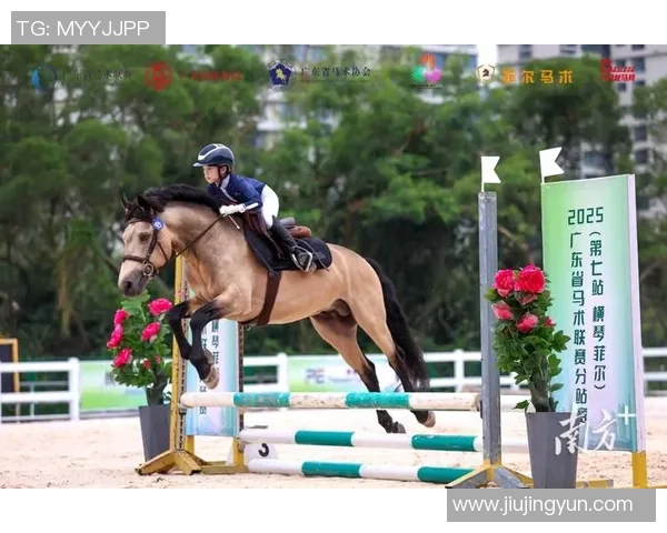 建标准化赛事，扩展裁判部队！2025年广东省马术裁判员训练会议满意举办